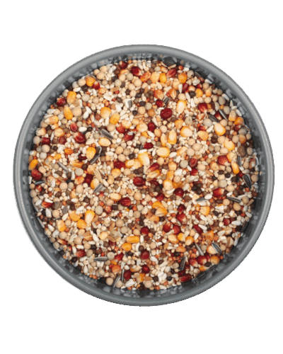 GÜVERCİN DAMIZLIK MİX 20 KG