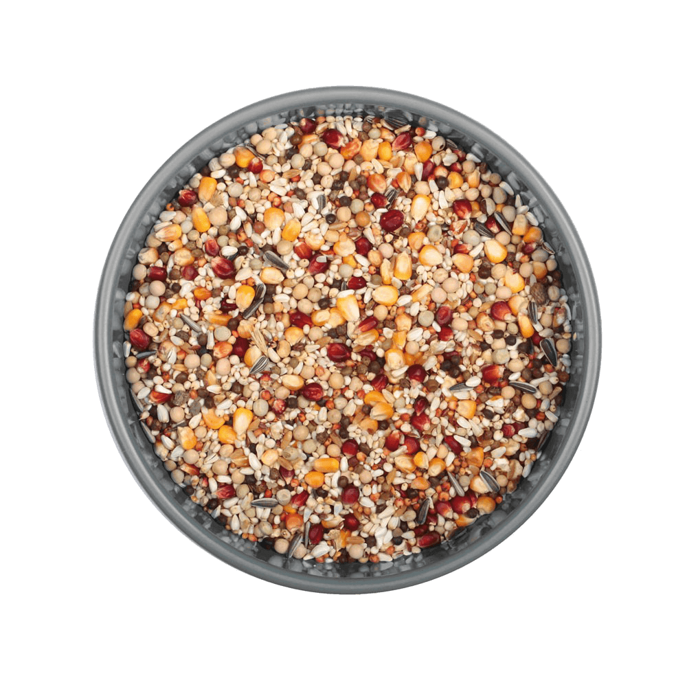 GÜVERCİN DAMIZLIK MİX 20 KG