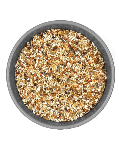 GÜVERCİN DİET MİX 20 KG