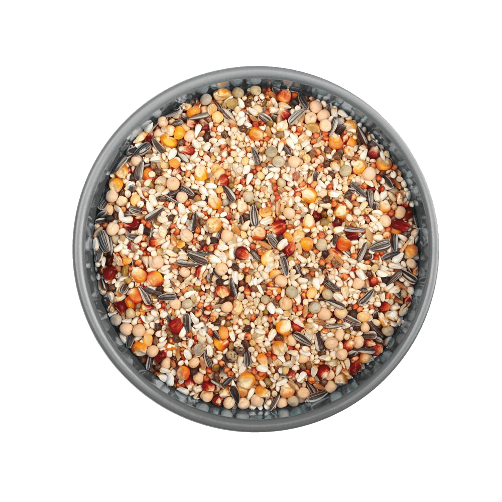 GÜVERCİN DÖRT MEVSİM 20 KG