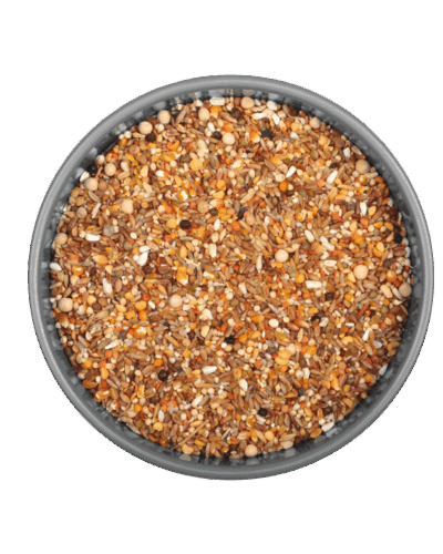 GÜVERCİNLİ BUĞDAYLI MİX 20 KG