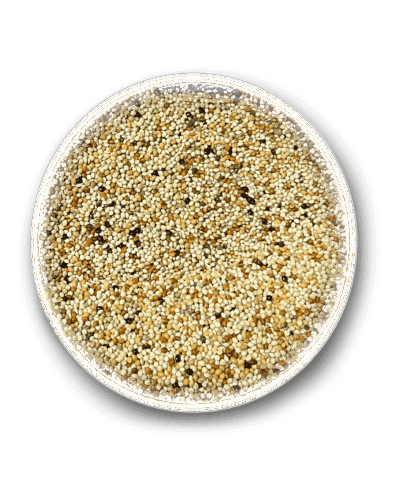 MUHABBET YEMİ MİX 25 KG