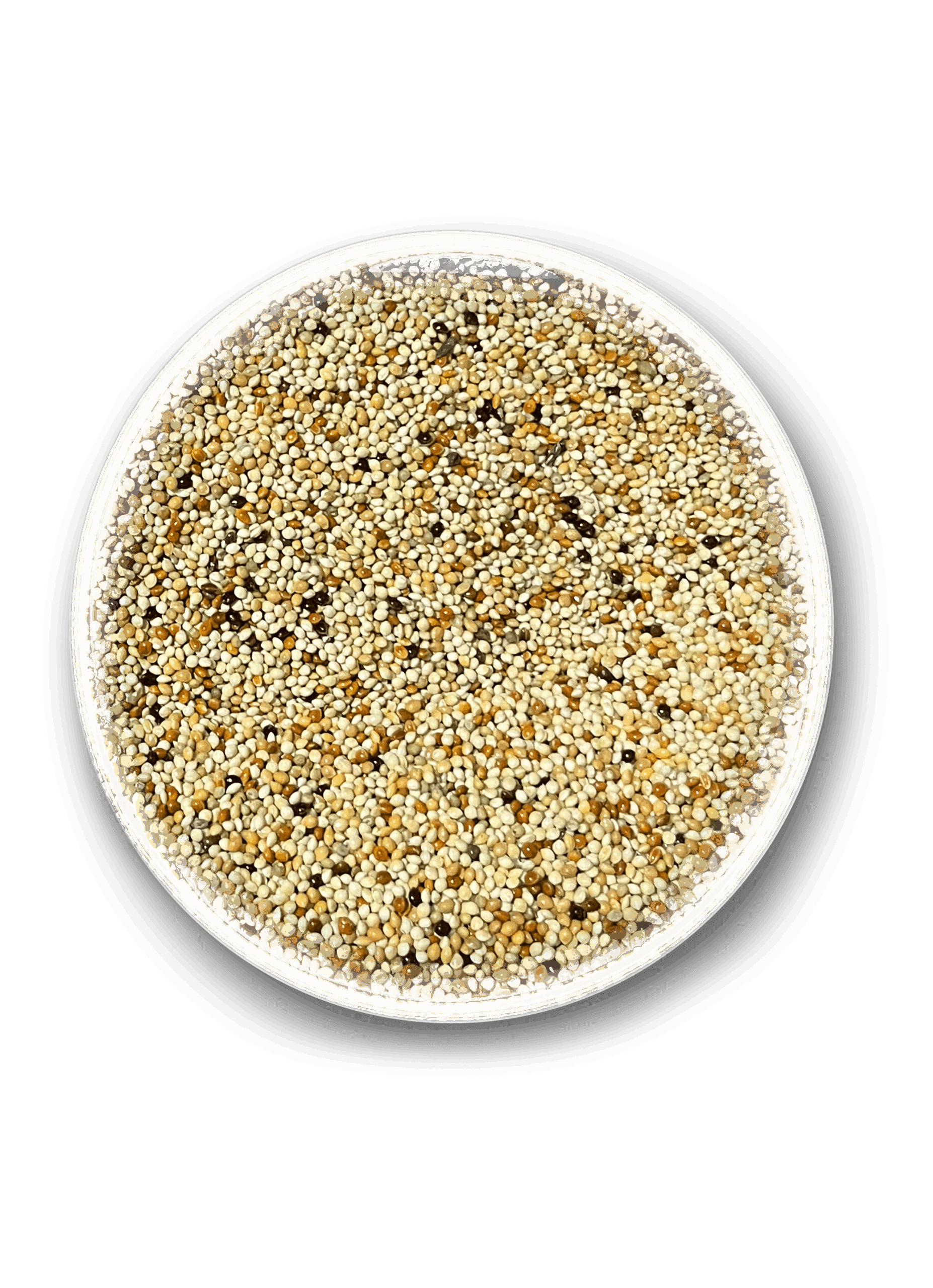 MUHABBET YEMİ MİX 25 KG